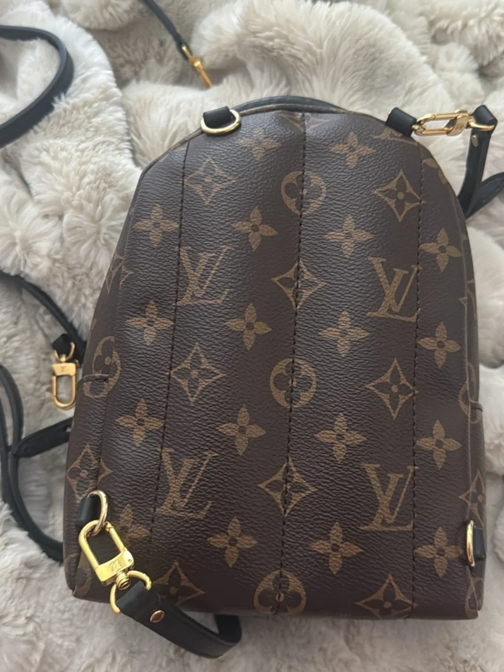 Louis Vuitton Monogram Mini Palm Springs Backpack - Brown & Black
